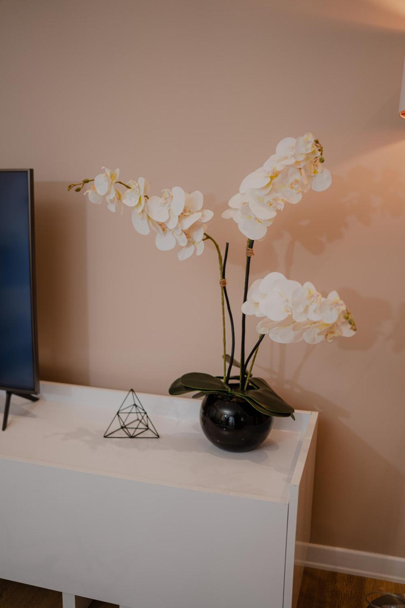 Drive Rooms&apartments Aparthotel