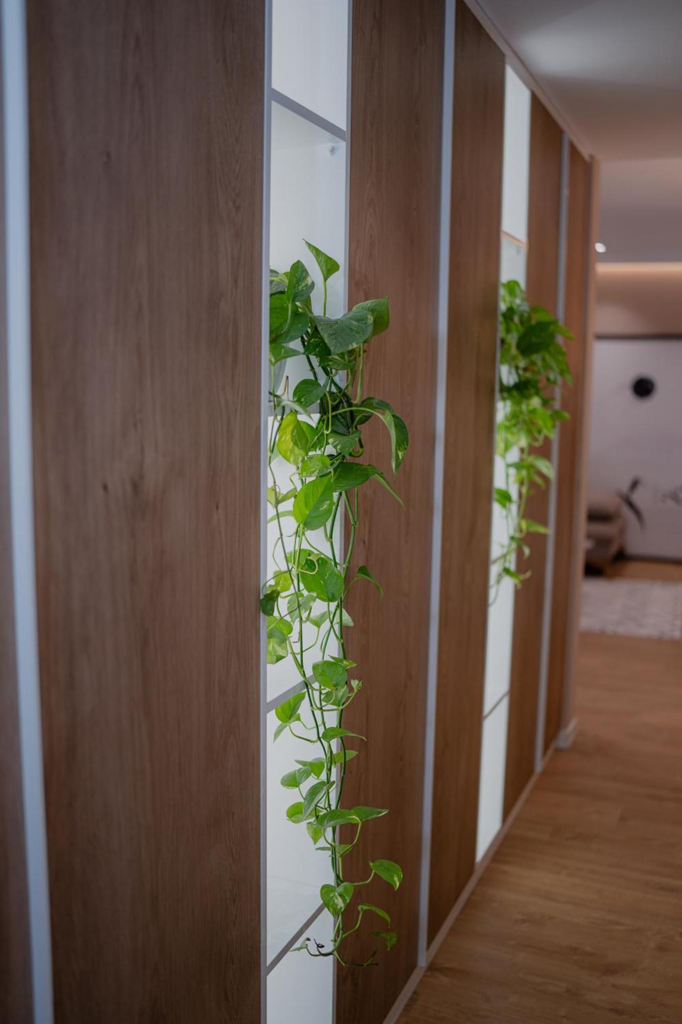 Appart hôtel Drive Rooms&apartments 4*